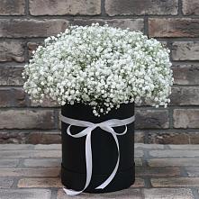 Цветочная композиция из Гипсофила в шляпной коробке #REPLACE_PRED# Архангельское